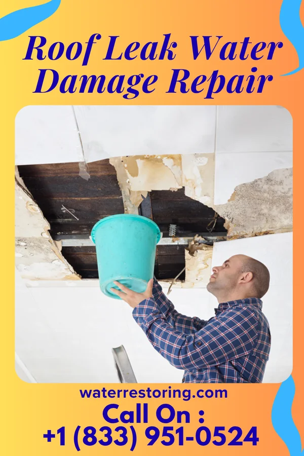Roof Leak Water Damage Repair in Quinby, SC