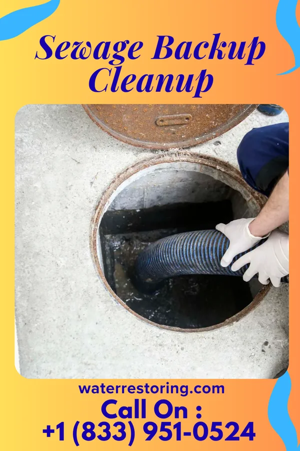 Sewage Backup Cleanup in Quinby, SC