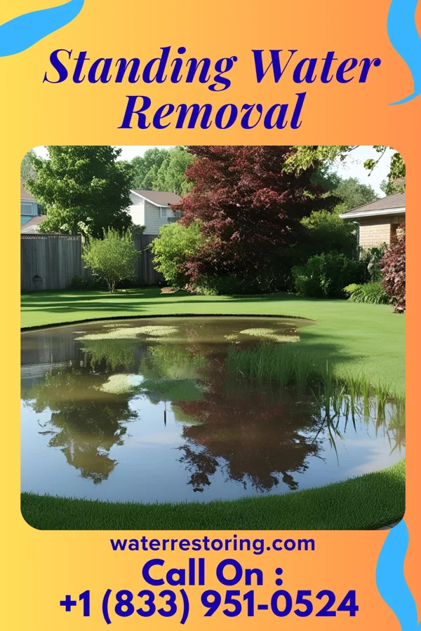 Standing Water Removal in Quinby, SC